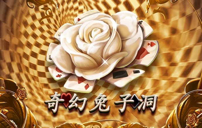55世纪app下载